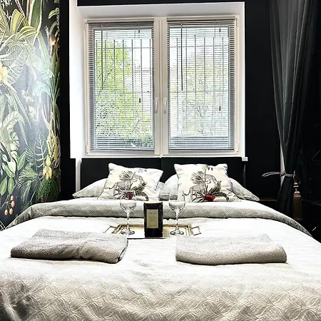 Golden ~ 1000m Main Square ~ Self Check-in 24h Apartmán Vratislav